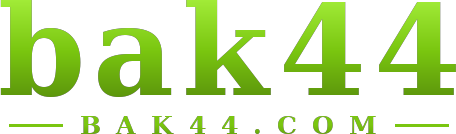 bak44 logo